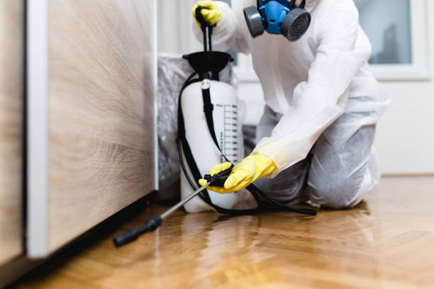 Best Emergency Pest Control  in St Marys, OH