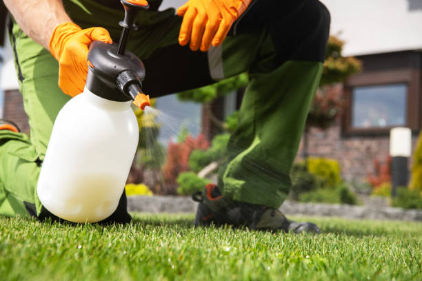 Pest Control for Restaurants in St Marys, OH