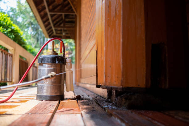 Best Wasp Removal Services  in St Marys, OH