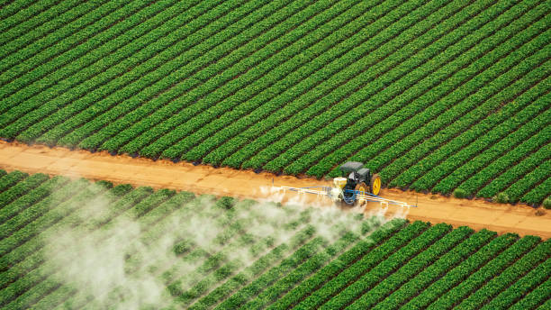 Best Pest Removal Services  in St Marys, OH