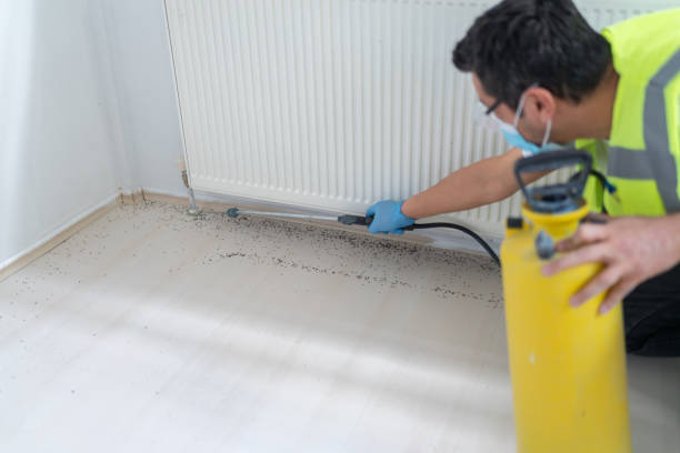 Best Best Pest Control Companies  in St Marys, OH