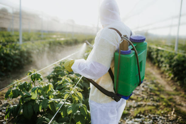 Best Exterminator Services  in St Marys, OH